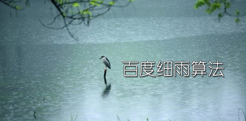 企業(yè)站遭百度“細(xì)雨算法”打擊后該怎么辦？